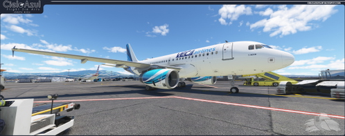 Veca Airlines | N1235V & N1821V | LVFR  Airbus A319 [8K]