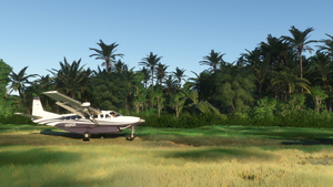 WATI Taria airstrip, Papua, Indonesia thumbnail 7