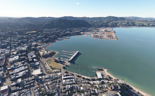 Wellington  New Zealand  no tree