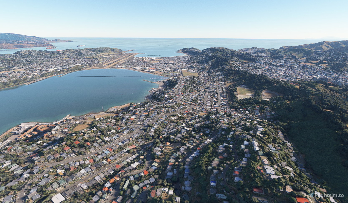 Wellington New Zealand no tree for Microsoft Flight Simulator MSFS