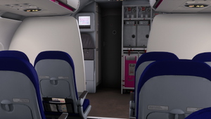 Wizzair [Pack] w/Cabin - Fenix A321 thumbnail 8