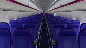 Wizzair [Pack] w/Cabin - Fenix A321 thumbnail 3