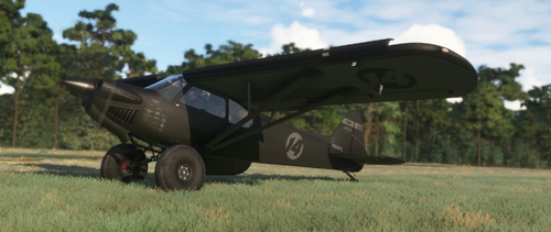 XCub BlackBird
