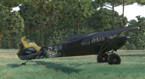 XCub CheshireCat