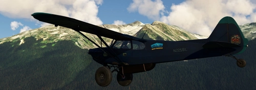XCub Extreme blue N221BL 'Tsyle-koh Bee'