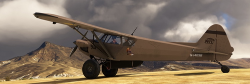 XCub Extreme brown N-1409B