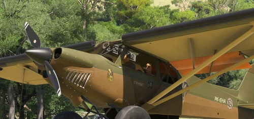 XCub Extreme PK-EHA Eharo beige and kaki