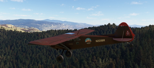 X-Cub N221-BR Brown Bear v3