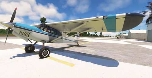 XCub Togandi