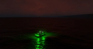 XPFP-Port aux Francais / Kerguelen thumbnail 13