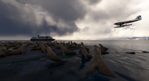 XPFP-Port aux Francais / Kerguelen thumbnail 20