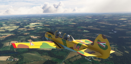 Yak-52 Hungarian Air Force livery