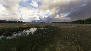 YFLI Flinders Island thumbnail 20