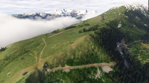 12+ Bush strips in the Spanish Pyrenees thumbnail 4