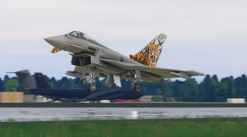 14-31 ALA14 Nato Tiger  Meet 2018 - SAF - IFE EF2000/Typhoon