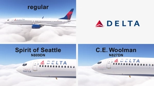 PMDG 737-900ER w/ cabin Delta Air Lines complete fleet thumbnail 9