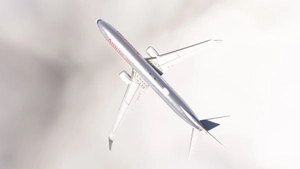 PMDG 737-900(ER) w/ cabin American Airlines - Bare Metal (N921NN) thumbnail 3