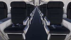 PMDG 737-900(ER) w/ cabin American Airlines - Bare Metal (N921NN) thumbnail 10