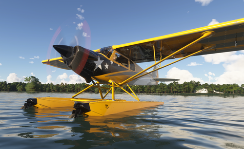 MSFS 2024 - Cub Crafter X-Cub Livery | Cleetus McFarland | N15EZ