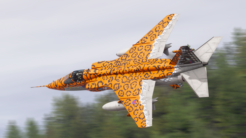 AzurPoly Jaguar Native 2024 International Pack MSFS Add on Flightsim to azurpoly-jaguar-native-2024-international-pack-msfs-add-on-flightsim-to
