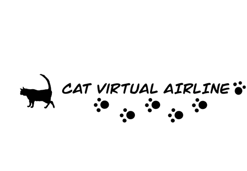 CAT Virtual Airline Model Matching