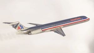 Fly the Maddog 20th anniversary | American Airlines - N76200 thumbnail 2