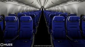 Southwest Fleet Pack | Custom 3D Cabin | Smart Decals | PMDG B737-800 thumbnail 13