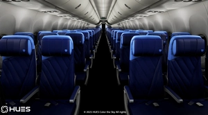 Southwest Fleet Pack | Custom 3D Cabin | Smart Decals | PMDG B737-800 thumbnail 3
