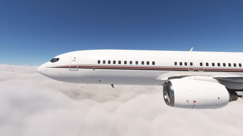 PMDG 737-800BBJ Netjets (N127QS, N128QS and N737CM)