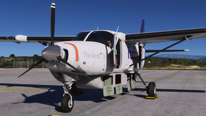 FedEx [Pack] - Black Square C208 thumbnail 11