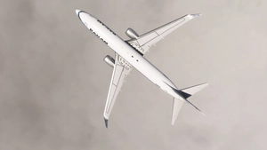 PMDG 737-800 w/ cabin Pan American (N4902W) thumbnail 3