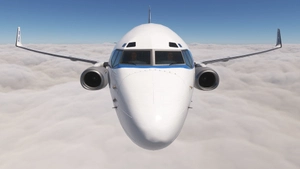 PMDG 737-800 w/ cabin Pan American (N4902W) thumbnail 5