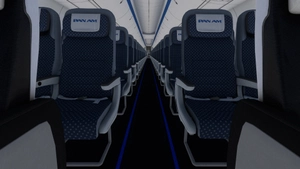PMDG 737-800 w/ cabin Pan American (N4902W) thumbnail 12