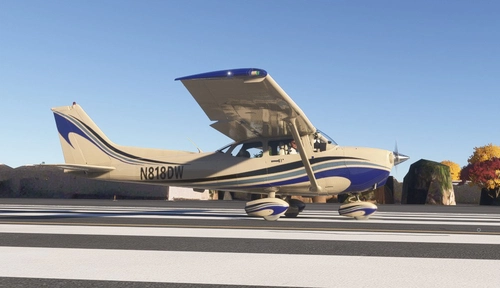 Cessna 172 Skyhawk DEWblkgryblu