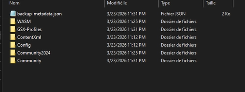 MSFS2024-Backup