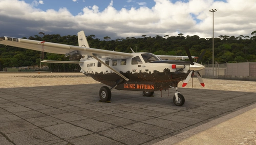 Bush Divers Kodiak 100 (MSFS2024 Native)