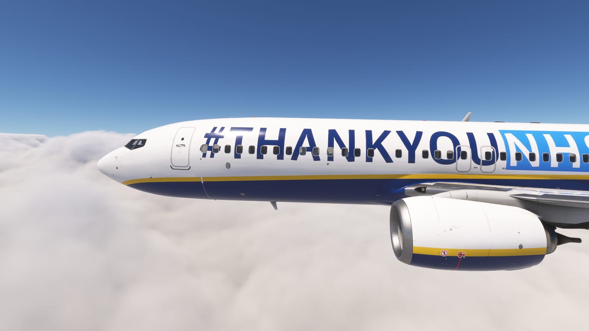 PMDG 737-800 /w cabin Ryanair - #ThankyouNHS (EI-NHS) - Aircraft