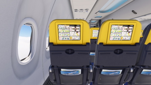 PMDG 737-800 /w cabin Ryanair (EI-EFY) thumbnail 11