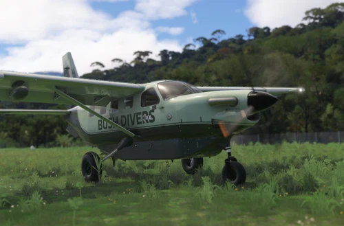 Bush Divers - Kodiak 100 - Green