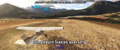 Dingleburn Station auxiliary strip, Wanaka, New Zealand (XGS22)