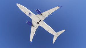 PMDG 737-800 w/ cabin United Airlines - United Together (N27261) thumbnail 4