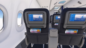 PMDG 737-800 w/ cabin United Airlines - United Together (N27261) thumbnail 11