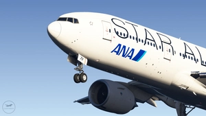 All Nippon Airways (ANA) (JA711A, JA712A - STAR ALLIANCE) (w
