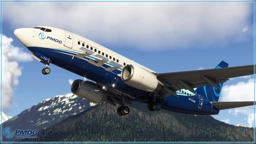 Ultimate Custom Camera Views - PMDG 737-700 (MSFS 2024)
