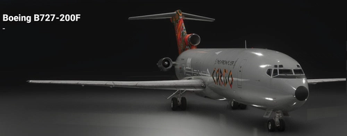 FSS B727-200F The African Flyer (Silver bullet) - livery