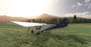 I.C.P. Savannah S thumbnail 14