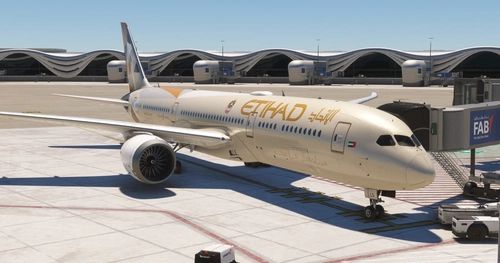 Horizon Sim B789 Custom Camera Views
