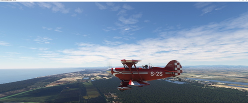 Asobo Pitts S-2S Realism Mod