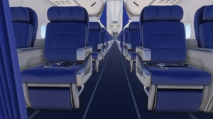 PMDG 737-700 /w cabin Delta Air Lines complete Fleet thumbnail 10