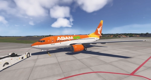 Adam Air livery for PMDG 737-600 FS24